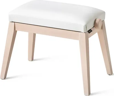 Immagine prodotto di Panca di design Casio BG50