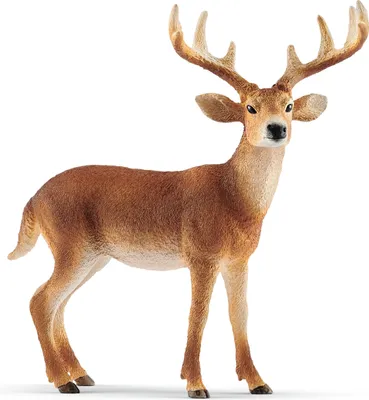 Produktbild von Schleich 14818 Jeleň bielochvostý