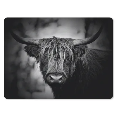 Produktbild von MuchoWow® Mauspad Mousepad Schottischer Hochländer - Licht - Porträt - Natur 40x30 cm - Mousepads - Maus Mat - Pad - Mausunterlage - Anti Rutsch