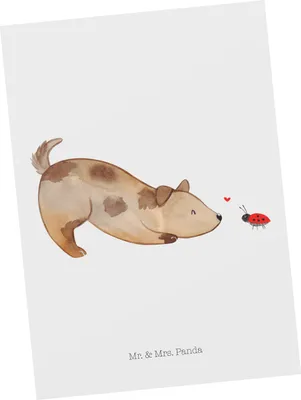 Produktbild von Mr. & Mrs. Panda Postkarte Hund Marienkäfer - Weiß - Geschenk, Ansichtskarte, einzelkarte, Mischlinghund, Mischlingshund, Neugierig, Hunde, Sprüche, Ansichtskarten