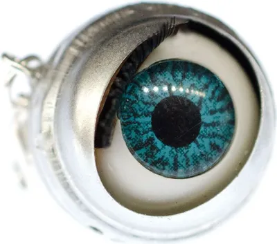 Produktbild von Auge Charm Miniblings Anhänger Bettelarmband Wackelauge Puppenauge Halloween