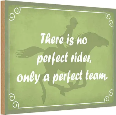 Produktbild von vianmo Holzschild 20x30 cm there is no perfect rider only Dekoration