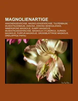 Produktbild von Magnolienartige
