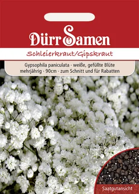 Produktbild von Dürr-Samen - Schleierkraut gefüllt weiße Blüten mehrjährig 90 cm - Saatgut - 0756