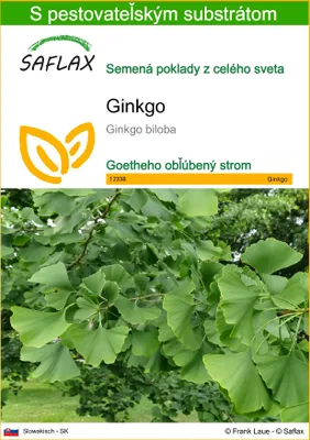 Obrázok produktu pre SAFLAX - ginkgo - Ginkgo biloba - 4 Semená - S pestovateľským substrátom bez klíčkov