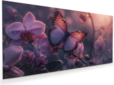 Produktbild von Glasbild 120x60cm in XXL für Wohnzimmer, Schlafzimmer Motiv Schmetterling Blüte