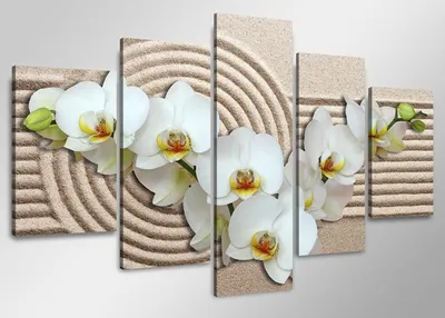 Produktbild von Visario Leinwandbild Weiße Orchideen 160x80 cm – 5-teilig, Bild Wandbild Kunstdruck, aufhängfertig, Echtholzrahmen, Zackenaufhänger, Art. 5510