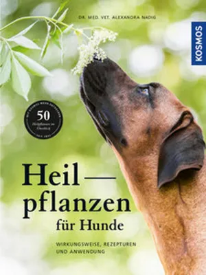 Image de Heilpflanzen für Hunde