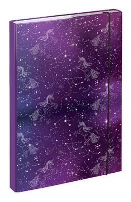 Obrázek produktu pro BAAGL Desky na školní sešity A4 Unicorn Universe