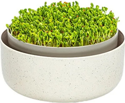 Produktbild von Plastia Urbalive Keimsprosskit für Microgreens, Elfenbein mit Kaffeesatz-Beimischung