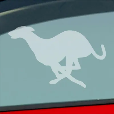 Produktbild von Auto Aufkleber Windhund Hund Dog Animal Tier 12x7,5 cm Milchglas Sticker Heckscheibenaufkleber