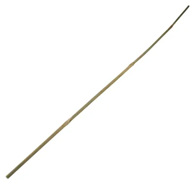 Produktbild von Bambusstab Pflanzenstütze, 120cm