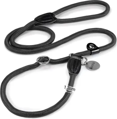 Image de lionto Laisse pour Retriever, sûre, stylée & vegan, avec limiteur de traction & stoppeur pour un entraînement en douceur du chien, 120 cm, noir