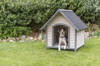 Produktbild von TRIXIE Hundehütte Cottage - grau - 96 × 105 × 112 cm