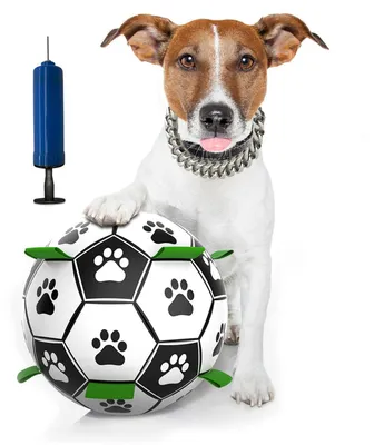 Produktbild von Hundespielzeug Ball Interaktiv Wasserspielzeug Schwimmend Fußball Tragbar mit Pumpe