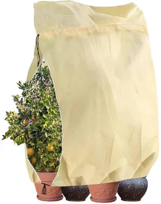 Produktbild von Winterbescherming für Pflanzen, 170*230cm Winterbescherming für Pflanzenbeschermung vorstschutz für Garten Blumenbeschermung Überwinterungstent Kaltbeschermung für Bäume und Pflanzen