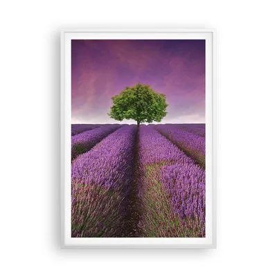Produktbild von Gerahmtes Poster - Weißer Rahmen - Wiese lavenda Sommer Landschaft - 70x100 cm - Wand Bild - Wanddeko - Wandbilder - Wandposter - Bilderrahmen - Bilder - Kunstdruck - Wandbild - P2WPA70x100-2605