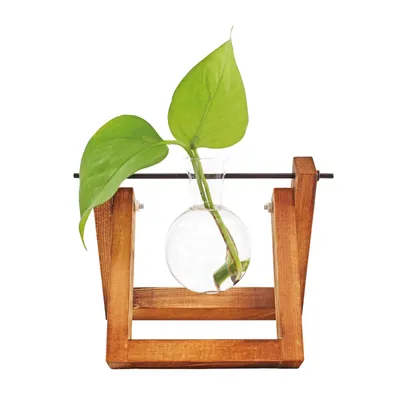 Immagine prodotto di Winkee - Hydrovase Fleur | 2X Vaso da fiori con 1x Supporto in legno | Fioriera da tavolo | Decorazione moderna | Stazione di propagazione in vetro | Stazione di propagazione delle piante | Vaso di vetro per radici | Regalo per la festa della mamma, compleanno