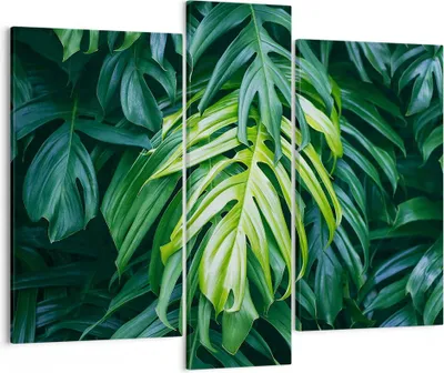 Produktbild von Bild auf Leinwand - Leinwandbild - Blume Natur - 95x80cm - Wand Bild - Wanddeko - Wandbilder - Leinwanddruck - Bilder - Kunstdruck - Wanddekoration - Leinwand bilder - Wandkunst - CB95x80-3951