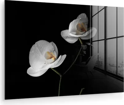 Produktbild von MuchoWow Glasbilder - Bilder auf Wandbild - Foto auf Glas Orchidee - Blumen - Schwarz - Weiß - Stilleben 30x20 cm Wanddekoration aus Glas - Acrylglasbild - Acrylbilder - Bilder auf glas wandbild