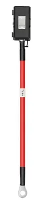 Produktbild von Ecoflow Alternator Charger Fuse Cable Netzkabel One Size / EU Plug 220V One Size
