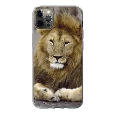 Produktbild von MuchoWow® Handyhülle Schutzhülle Hülle für iPhone 12 Pro Max Löwe - Afrika - Tier Silikon Softcase Handy Hülle - Hartschale