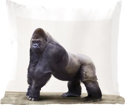 Produktbild von MuchoWow® Zierkissen Sofakissen Wohnzimmer Dekokissen 60x60 cm Tier - Gorilla - Affe - Sitzfläche - Foto Polster