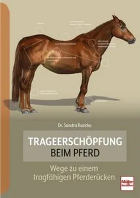 Image de Trageerschöpfung beim Pferd