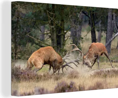 Obrázek produktu pro OneMillionCanvasses® - Obrazy na plátně - 140x90 cm, Jelen - Parohy - Les, Nástěnné umění Vytisknout Nástěnná dekorace