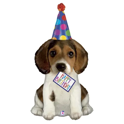 Zdjęcie produktu dla Balon foliowy - Piesek z czapeczką, Happy Birthday 104cm