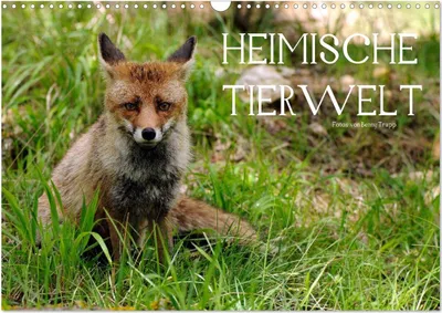 Produktbild von Heimische Tierwelt (Wandkalender 2025 DIN A3 quer), CALVENDO Monatskalender