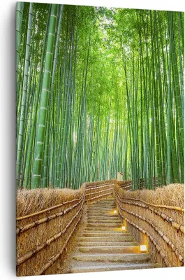 Produktbild von Bild auf Leinwand - Leinwandbild - Einteilig - Bambus Pflanze - 70x100cm - Wand Bild - Wanddeko - Wandbilder - Leinwanddruck - Kunstdruck - Wanddekoration - Leinwand bilder - Wandbild - PA70x100-3979