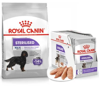 Produktbild von Royal Canin Maxi Sterilised Trockenfutter für kastrierte große Hunde 3kg + Pastete 12x85g