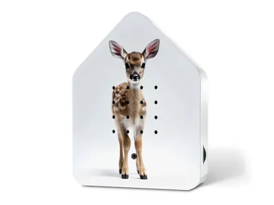 Image de Relaxound Box gazouillis édition limitée printemps 25 Baby Deer - Boîte à sons naturelle gazouillis d'oiseaux avec détecteur de mouvement