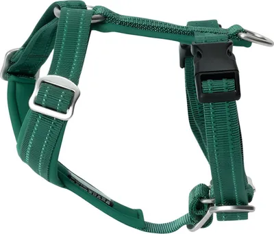 Produktbild von PAIKKA Hundegeschirr "Easy Harness" emerald, Größe: M
