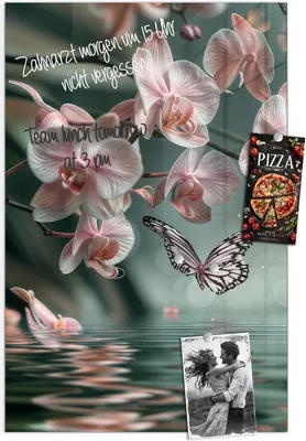 Produktbild von Magnettafel 60x90cm Pinnwand Whiteboard beschreibbar - Orchideen Schmetterling