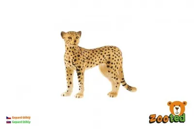 Produktbild von Gepard schlank zooted