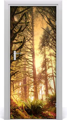 Produktbild von Tulup Türaufkleber 85x205 cm Dekorative Aufkleber Selbstklebend Wasserdichte Tapete Abnehmbar Schlafzimmer Wohnzimmer Wohnkultur - Regenwald