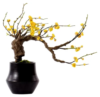 Produktbild von Künstliche Pflanzen Bonsai Baum Realistische Grüne Topfpflanzen Künstliche Blumen, Moos Dekoration für Büro und Wohnzimmer