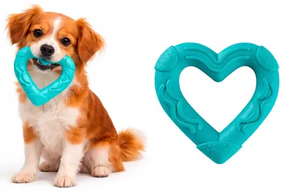 Produktbild von ZOOFARI Robustes Dentalspielzeug für Hunde, Zahnpflege, Apportier