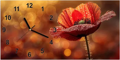 Produktbild von Wanduhr aus Glas mit Motiv Blühende Mohnblume- 60 x 30 cm - inkl. Aufhängesystem