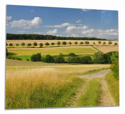 Produktbild von Wallario Herdabdeckplatte aus Glas, Größe 60 x 52 cm 1-teilig, Motiv Feldlandschaft unter blauem Himmel