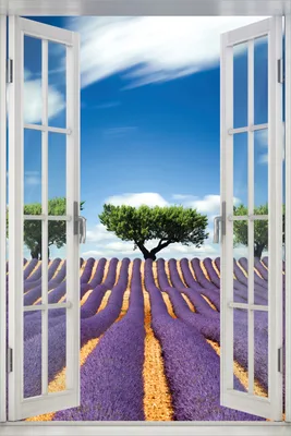 Produktbild von Wallario Poster mit Fenster-Illusion: Abstraktes lila Blumenfeld mit Lavendel, Größe: 100 x 150 cm