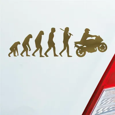 Produktbild von Auto Aufkleber Evolution Motorrad Mopped Bike 15x4,5 cm Gold Sticker Heckscheibenaufkleber