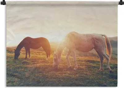 Produktbild von MuchoWow® Wandteppich Wandbehang Pferde - Sonne - Tiere 120x90 cm Tapisserie Dekoration Wandtuch - Wohnen - Aufhänger für die Wand