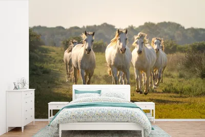 Produktbild von MuchoWow® Fototapete für Wohnzimmer oder Schlafzimmer Wandtapete Vinyl Motivtapete Galoppierende weiße Pferde - 600x400 cm - Vinyltapeten