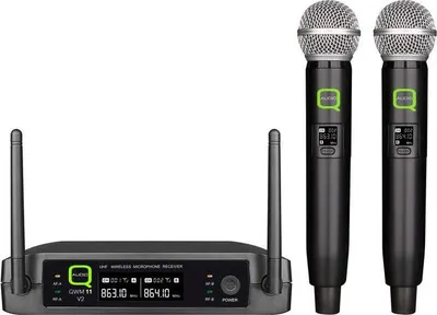 Immagine prodotto di Microfono QWM 11 V2 Q-AUDIO