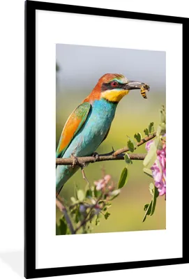 Produktbild von MuchoWow® Gerahmtes Poster Vogel - Bienenfresser - Blumen 60x90 cm - Poster mit Schwarzem Bilderrahmen Wandposter Rahmen Foto Bilder - Dekoration - Wandposter Wohnzimmer - Hochwertig