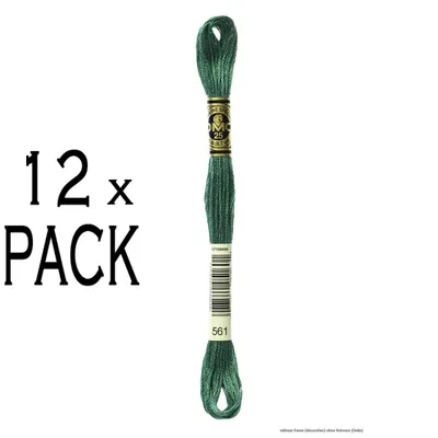 Immagine prodotto di 12 gomitoli di filo da ricamo DMC Mouline Special 117MC -561, 6 capi, 8 metri