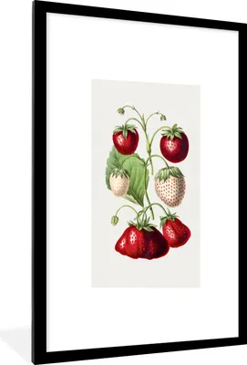 Produktbild von MuchoWow® Gerahmtes Poster Erdbeere - Obst - Lebensmittel 60x90 cm - Poster mit Schwarzem Bilderrahmen Wandposter Rahmen Foto Bilder - Dekoration - Wandposter Wohnzimmer - Hochwertig